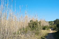 de ruta por la perenxisa...