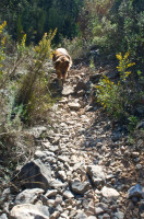 de ruta por la perenxisa...