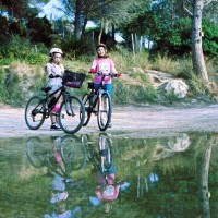 bike 1 (1)