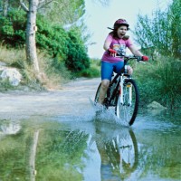 bike 2